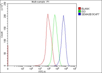 Semaphorin 3B/SEMA3B Antibody (monoclonal, 9C4F7)