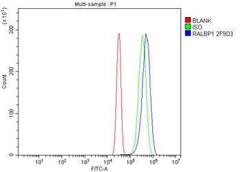 RALBP1 Antibody (monoclonal, 2F9D3)