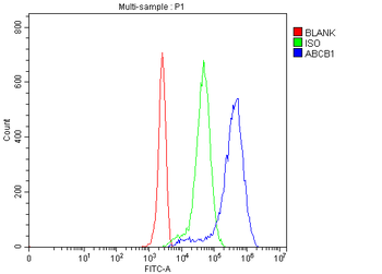 P Glycoprotein/ABCB1 Antibody