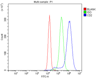 CD2 Rabbit Polyclonal Antibody