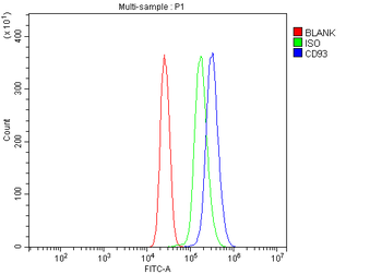 Anti-CD93 Antibody