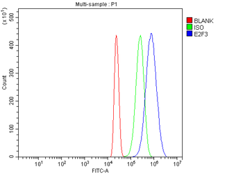 E2F3 Rabbit Polyclonal Antibody