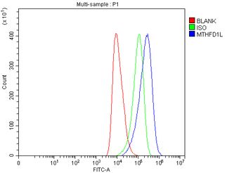 MTHFD1L Antibody