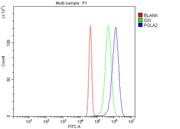 POLA2 Antibody
