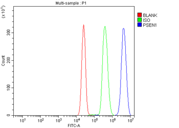 Presenilin 1/PS-1/PSEN1/PS Rabbit Polyclonal Antibody