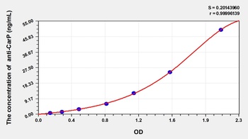 Human Anti-carbamylated Protein (Anti-CarP) ELISA Kit