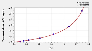 Human Potassium Chloride Cotransporters 1 (KCC1) ELISA Kit