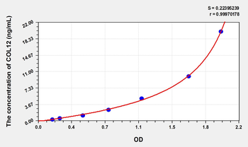 Human COL12(Collagen Type XII) Microsample ELISA Kit