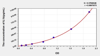 Rat Interleukin 1 Beta (IL1b) ELISA Kit
