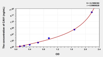 Rat Caveolin 1 (CAV1) ELISA Kit