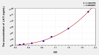 Human Large Neutral Amino Acid Transporter 1 (LAT1) ELISA Kit