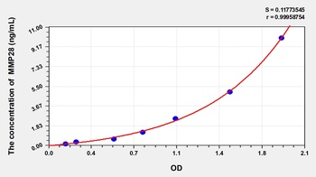 Human Matrix Metalloproteinase 28 (MMP28) ELISA Kit