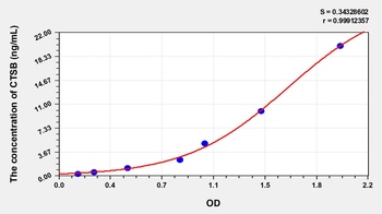 Human Cathepsin B (CTSB) ELISA Kit