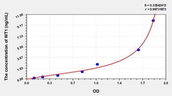 Human Wilms Tumor Protein (WT1) ELISA Kit