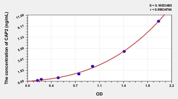 Human Adenylyl Cyclase Associated Protein 2 (CAP2) ELISA Kit