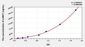 Human Laminin Gamma 1 (LAMC1) ELISA Kit