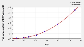 Human Syntaxin 1A, Brain (STX1A) ELISA Kit