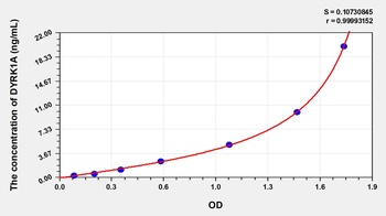 Human Dual Specificity Tyrosine Phosphorylation Regulated Kinase 1A (DYRK1A) ELISA Kit
