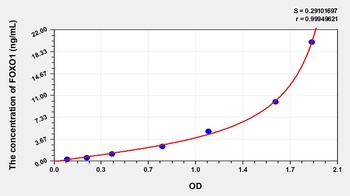 Rat Forkhead Box Protein O1 (FOXO1) ELISA Kit