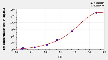 Human Retinoblastoma Protein 1 (RB1) ELISA Kit