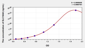Human Solute Carrier Family 16, Member 8 (SLC16A8) ELISA Kit