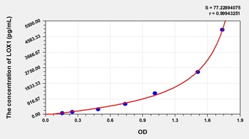 Rabbit Lectin Like Oxidized Low Density Lipoprotein Receptor 1 (LOX1) ELISA Kit