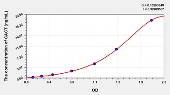 Rat Carnitine Acylcarnitine Translocase (CACT) ELISA Kit