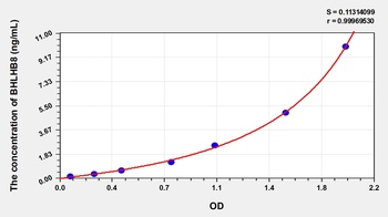 Human Basic Helix Loop Helix Domain Containing Protein B8 (BHLHB8) ELISA Kit