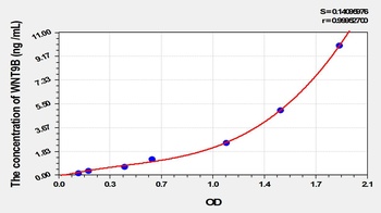 Human Wingless Type MMTV Integration Site Family, Member 9B (WNT9B) ELISA Kit