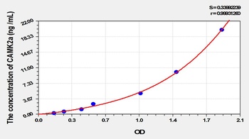 Mouse Calcium/Calmodulin Dependent Protein Kinase II Alpha (CAMK2a) ELISA Kit
