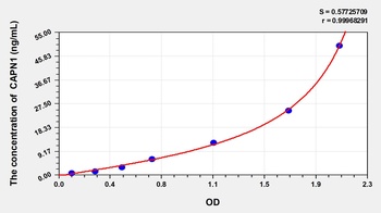 Rat Calpain 1, Large Subunit (CAPN1) ELISA Kit