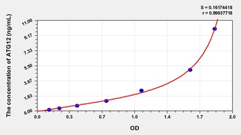 Human Autophagy Related Protein 12 (ATG12) ELISA Kit