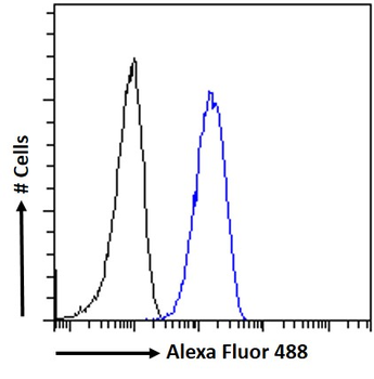 beta-2-microglobulin Antibody