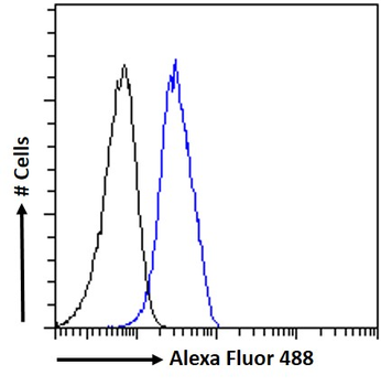 Goat anti-HP alpha chain Antibody