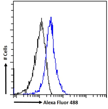 MERTK Antibody