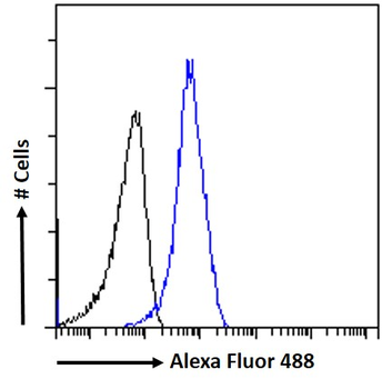 RNF3 (247 aa isoform) Antibody