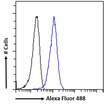 Goat anti-STAT3 (isoform 1 and 2) Antibody
