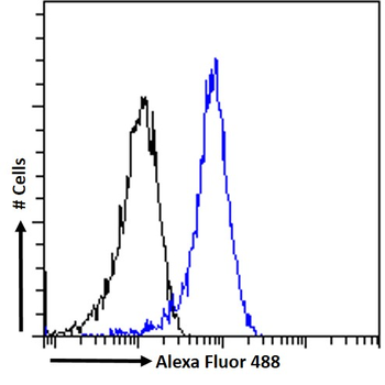 ITGB2/LFA-1 (aa86-99) Antibody