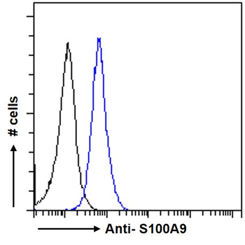 Goat anti-S100A9 Antibody