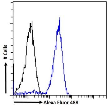 ERBB2/HER2 Antibody