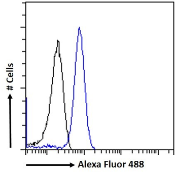 Goat anti-CD68 Antibody