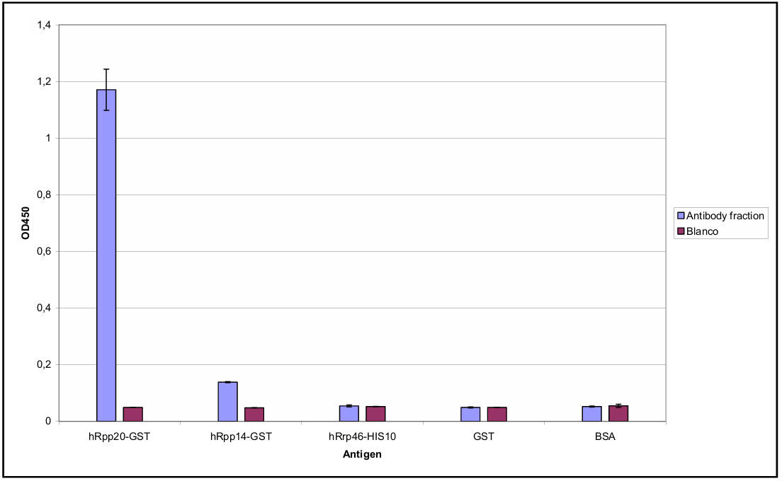 AVS Bio - mouse anti-human Rpp20 antibody
