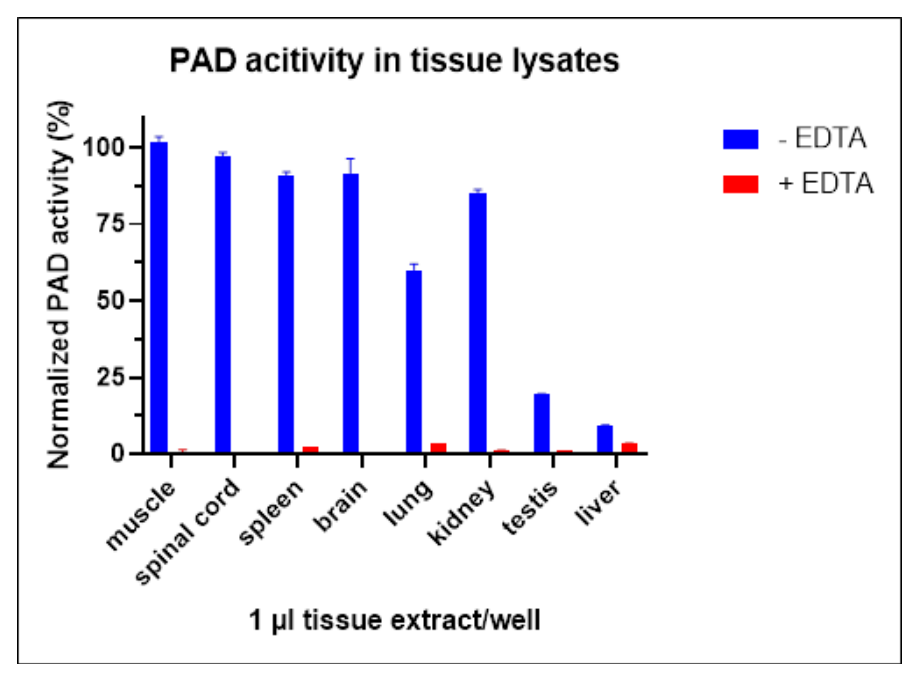 AVS Bio - PAD Enzyme Assay