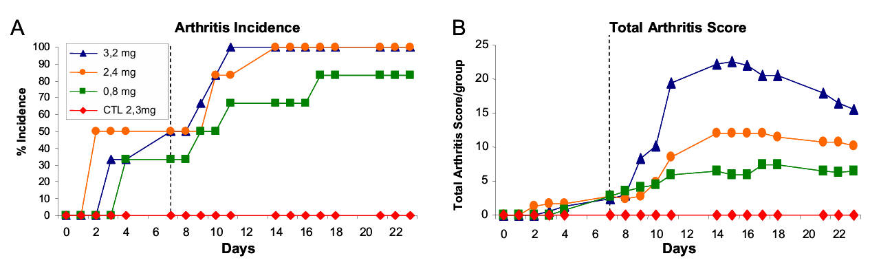 AVS Bio - Arthritis Antibody Mix