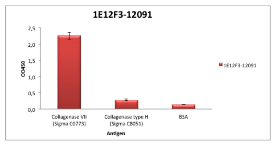 AVS Bio - mouse collagenase antibody