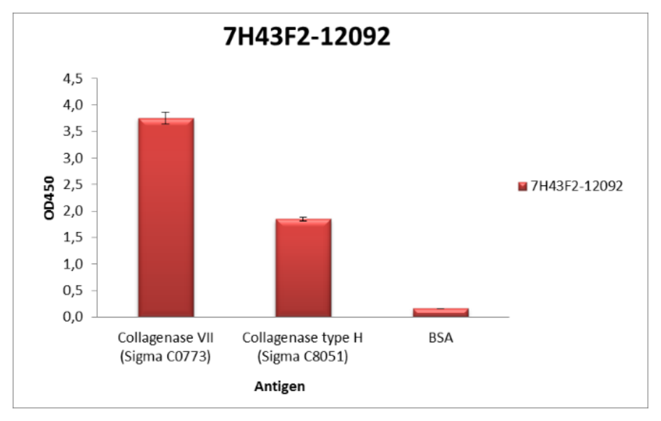 AVS Bio - mouse collagenase antibody