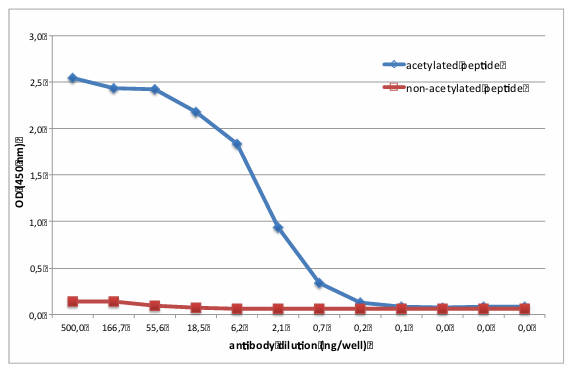 AVS Bio - mouse anti-acetylated lysine peptide