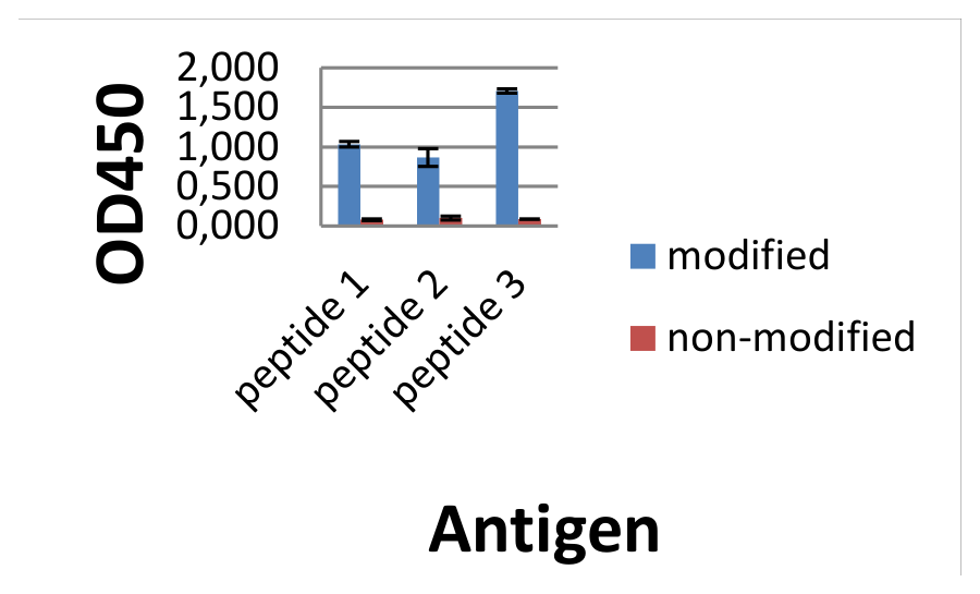 AVS Bio - mouse modified citrulline antibody