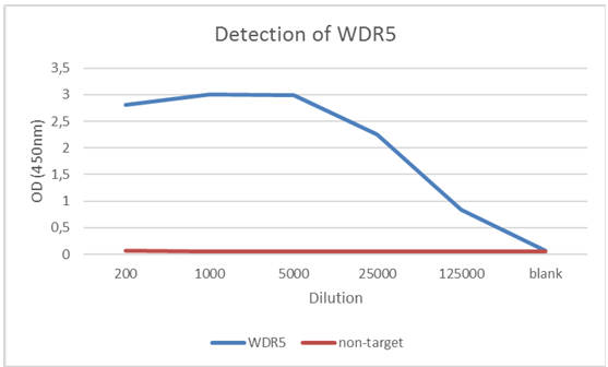 AVS Bio - human anti-human WD repeat-containing protein 5 antibody