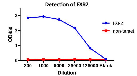 AVS Bio - human anti-human fragile X mental retardation syndrome-related protein 2 antibody
